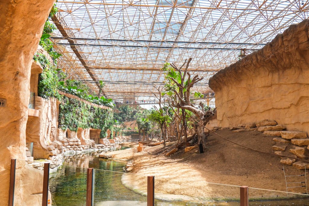 GROHE blinkt in het nieuwe Edenya-projectvan Pairi Daiza 7