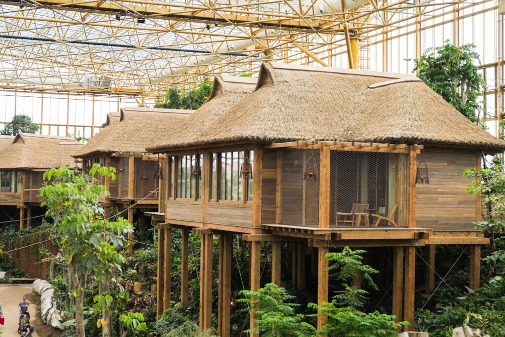 GROHE blinkt in het nieuwe Edenya-projectvan Pairi Daiza 8